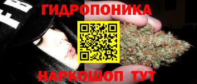 mix Новокубанск