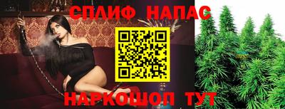 скорость Новозыбков