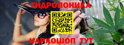 скорость Новозыбков
