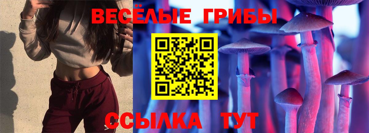 Псилоцибиновые грибы Magic Shrooms  магазин продажи   Псилоцибиновые грибы мухоморы  Родники  Вход с VPN 