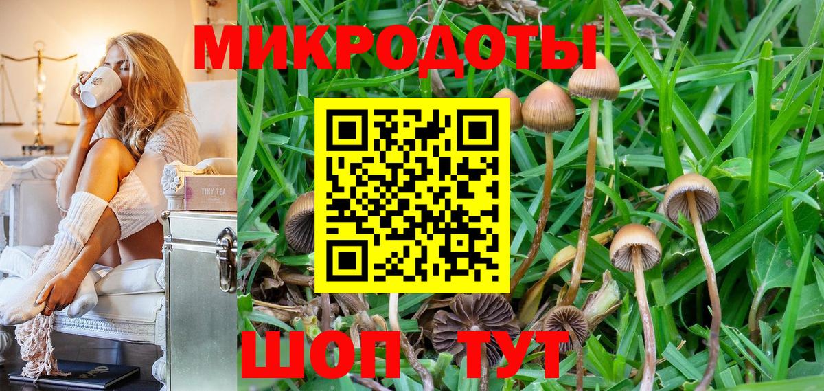 Галлюциногенные грибы Psilocybe Родники
