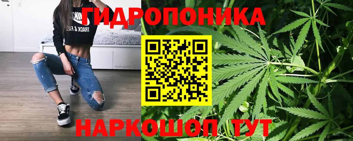 Бошки марихуана Bruce Banner  Шишки марихуана THC 21%  МАРИХУАНА OG Kush  Вход с VPN  Конопля план  Родники 